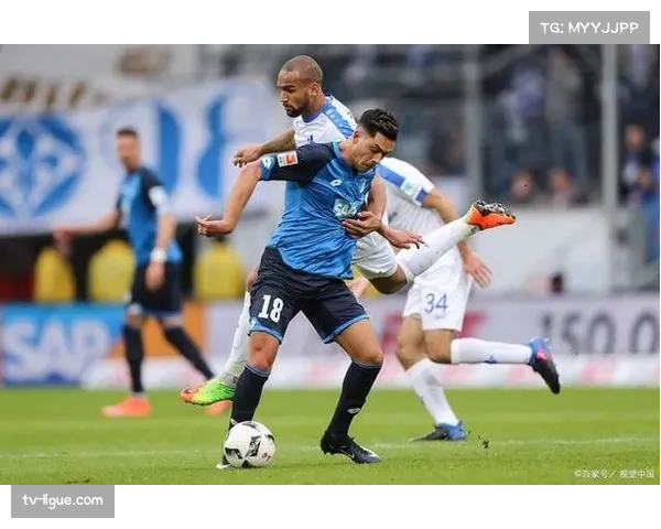 述评：一场失利让霍芬海姆的欧战梦想渐行渐远